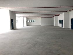 Loyang Industrial Estate (D17), Factory #288476781